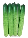 농우바이오,