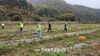 농협경제지주, 가을 본격 수확철 '농촌 일손돕기'