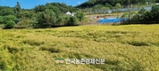 농지이양 '은퇴직불금' 11월 1일부터 신청