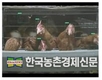 가금연구소, 알 적게 낳는 '닭' 영상으로 선별