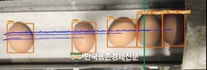 가금연구소, 알 적게 낳는 '닭' 영상으로 선별