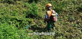 외국인근로자 임업현장 배치...1천 명 산림 현장 첫 도입