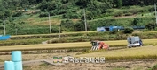 '재고쌀' 5만 톤을 매입...UN 식량원조 추진