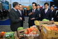 농산물 ‘온라인도매시장’ 출범...
