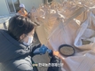 '재고쌀' 5만 톤을 매입...UN 식량원조 추진