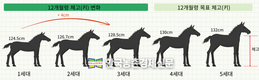 ‘국내산 승용마’ 새 이름 뭘로할까?