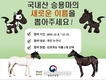‘국내산 승용마’ 새 이름 뭘로할까?