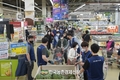 농협, '설' 명절 선물세트 예약 22일부터
