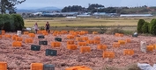 농식품부 2024년 예산 역대 최대규모!...18조 3,392억원사업 기대감 커!