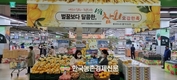 e신유통 ‘농산물온라인도매시장'...핫이슈 예고