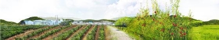 농민단체 