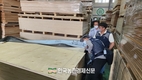산림청, 불법‧불량 수입합판 점검 강화
