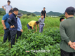 농촌진흥청, 식량 산업 분야 ‘맞춤형 현장 상담’