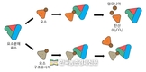 가축분뇨 '냄새' 차단기술 산업체 이전