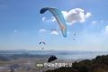 '산림레포츠대회' 주관기관 공개모집