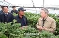 강호동 농협중앙회장, 부여 수박·딸기 농가에 방문...일조량 부족 피해현장 살펴