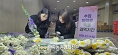 검역본부, 카네이션·장미 수입화훼류 특별검역 강화