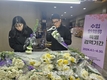 검역본부, 카네이션·장미 수입화훼류 특별검역 강화