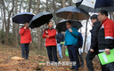 소나무재선충병 고사목 재활용...'펠릿·우드칩·섬유판'으로 활용
