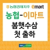 농협, 첫 '봄햇수삼' 출하 시작