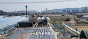 농관원 