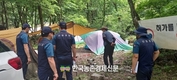 '산나물' 불법채취 단속 5월까지