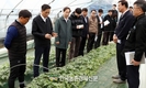 정부 '사과값에 화들짝 놀라!'...여름수박 생산단계부터 챙겨라!