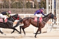 '말산업 국가자격시험’ 5월 3일까지 접수