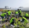 농협경제지주, 김포 화훼농가 찾아 농촌일손 보태