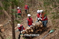 ‘소나무재선충병’ 특별 방제기간 연장