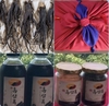 고려흑삼 