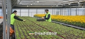 농협 농업박물관, 농번기 '농촌일손돕기'