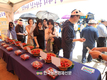'대추방울토마토' 우수품종 선발대회...농우 ‘더하드’ 품종 대상 선정