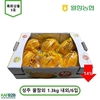 ‘농산물 온라인도매시장’ 5호 특화상품 