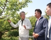 강호동 농협중앙회장, 경남 하동 매실농가 점검...