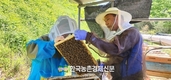 '벌꿀' 작황부진...양봉협회 등 민관합동 작황조사