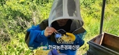 '벌꿀' 작황부진...양봉협회 등 민관합동 작황조사