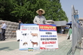 '한우법' 만들어 달라!... '농축산물가격안정제 도입' 국회 결의대회!