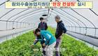 참외수출농업기술지원단 ‘농사 현장 컨설팅’ 큰 호응