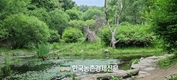 '개 '사육농가... 인생 2모작 설계?