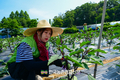 농협하나로유통·농협유통, 범농협 한마음 농촌일손 돕기 앞장!