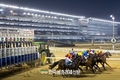 한국경마 이제 전 대륙에서 함께 즐긴다...남미와 아프리카 수출 확대 쾌거