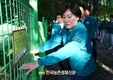 '멧돼지' 못 넘는 울타리 쳐라!...'아프리카돼지열병' 확산차단에 총력!