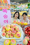 하나로마트 