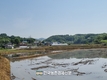 '농촌빈집' 정비·이용 활성화 본격화 될 듯