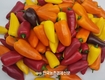 파프리카 새요리 발굴!...'제9회 파프리카 레시피 콘테스트' 소비촉진 눈길