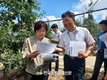농식품부, 과수 탄저병 방제상황 점검 및 사과 생육관리 철저 당부