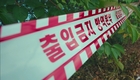 <속보>경북 영천 양돈농장 '아프리카돼지열병' 발생...차단방역!