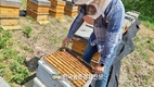 양봉학회, '양봉산업' 육성 학술대회