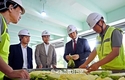 aT, '배추' 수급불안 해소...비축물량 방출